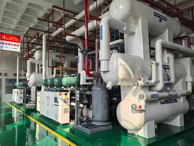 وحدة ضاغط التبريد CO₂ دون الحرج
