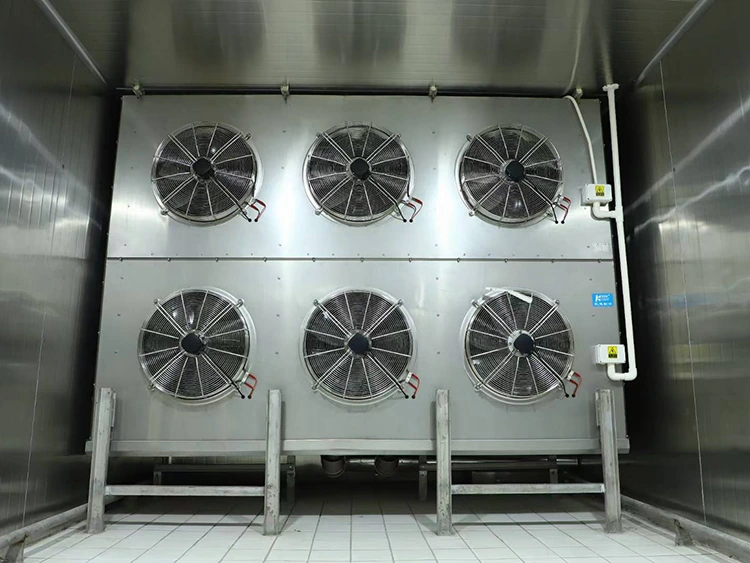 Blast Freeze Unit Cooler